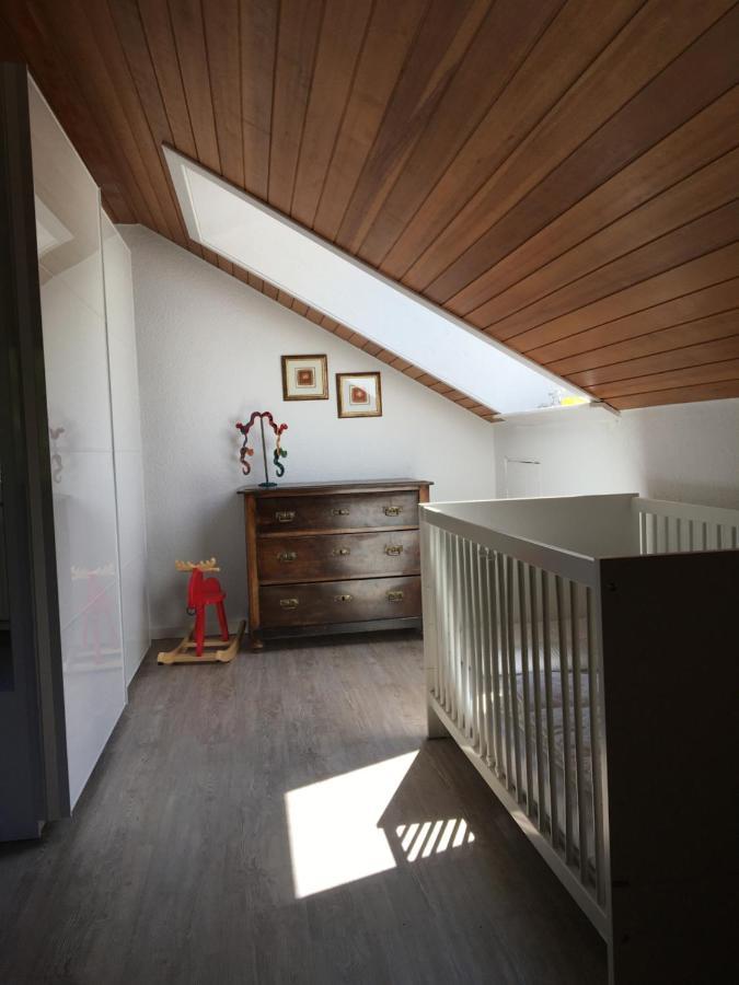 Apartment Schwarzwald Total フロイデンシュタット エクステリア 写真
