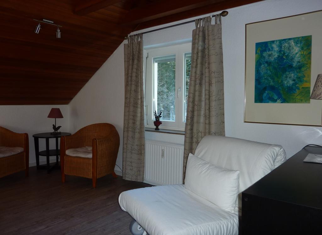 Apartment Schwarzwald Total フロイデンシュタット 部屋 写真