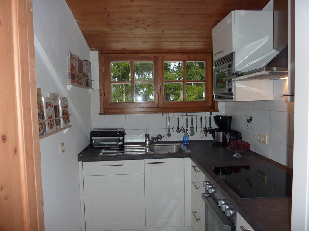 Apartment Schwarzwald Total フロイデンシュタット 部屋 写真