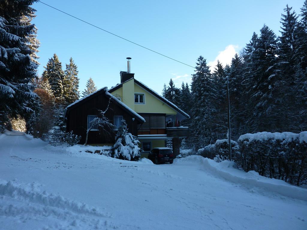 Apartment Schwarzwald Total フロイデンシュタット エクステリア 写真