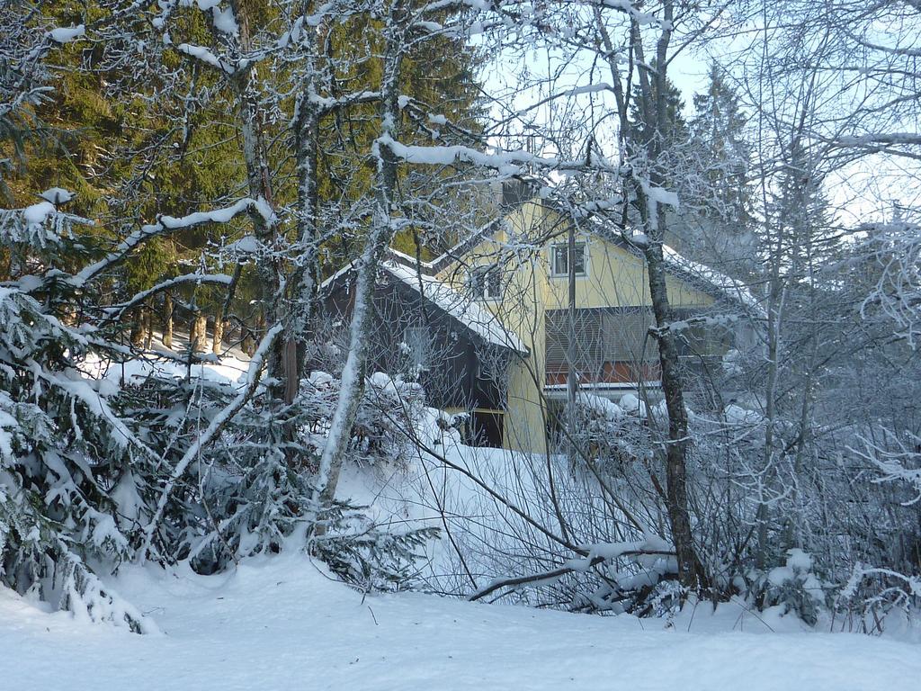 Apartment Schwarzwald Total フロイデンシュタット エクステリア 写真