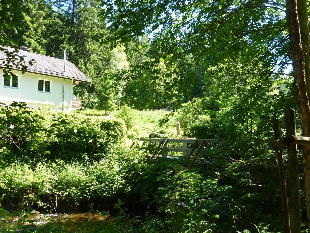 Apartment Schwarzwald Total フロイデンシュタット エクステリア 写真