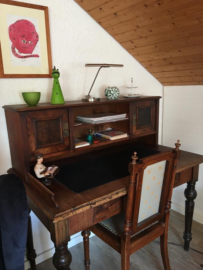 Apartment Schwarzwald Total フロイデンシュタット エクステリア 写真
