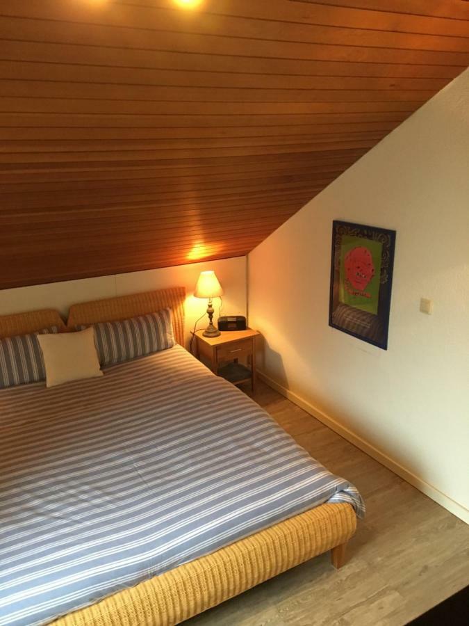 Apartment Schwarzwald Total フロイデンシュタット エクステリア 写真